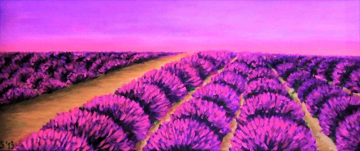 Lavendel 2013