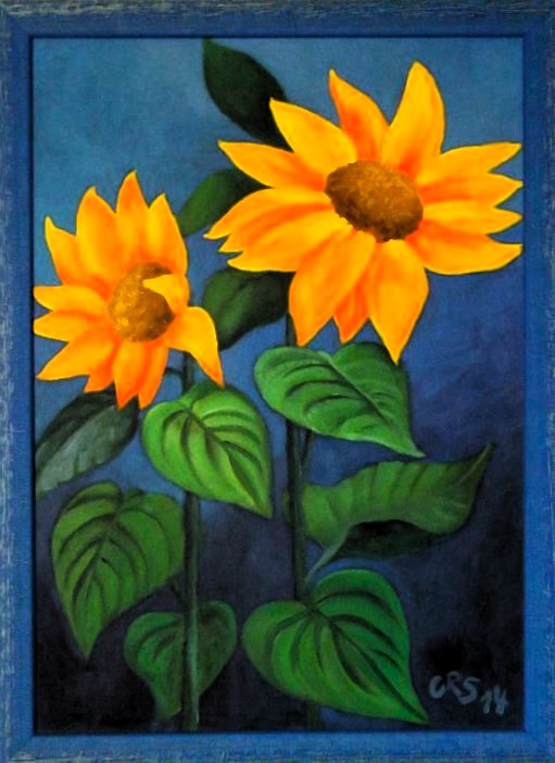 My Sunflowers 2014